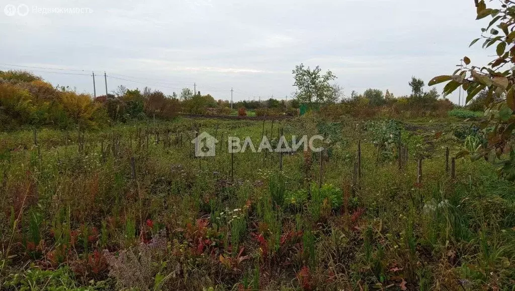 Участок в Добрунь, Дачная улица (6 м) - Фото 0