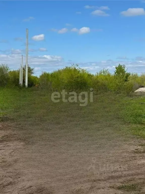 Участок в Самарская область, Ставропольский район, с. Подстепки ул. ... - Фото 1