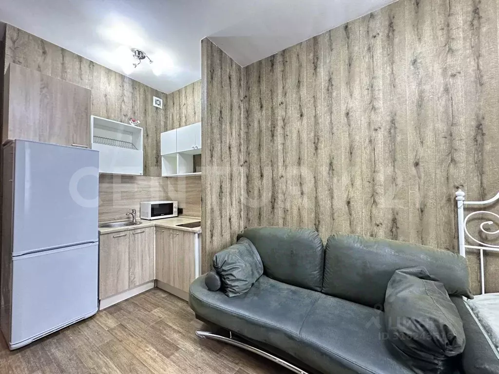 Студия Санкт-Петербург Московский просп., 183-185 (24.4 м) - Фото 0