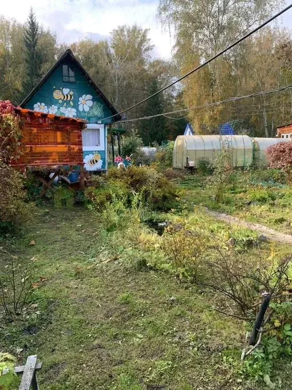 Участок в Новосибирская область, Новосибирск Садовод-Мичуринец СНТ, ... - Фото 1