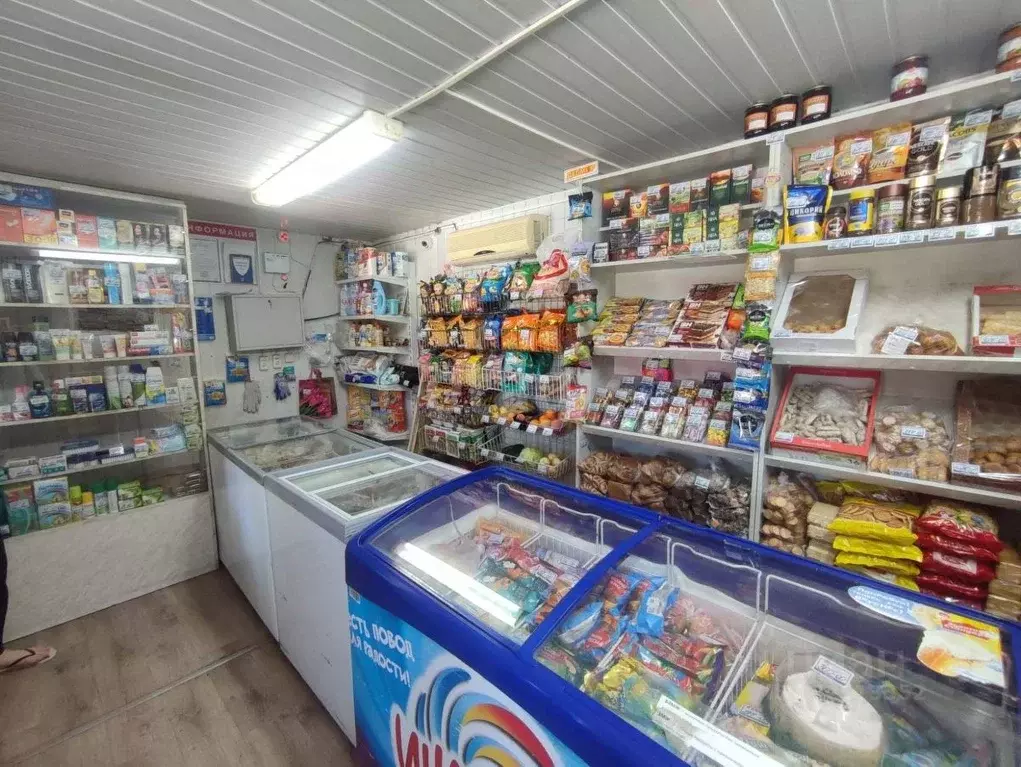 Торговая площадь в Свердловская область, Талицкий городской округ, ... - Фото 1