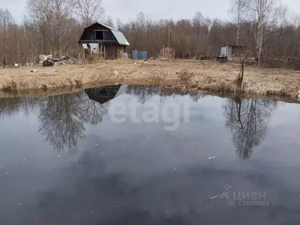 Дом в Костромская область, Костромской район, Никольское с/пос, д. ... - Фото 1