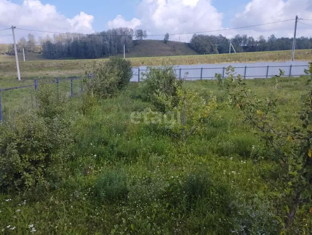 Дом в Башкортостан, с. Шаран ул. Объездная, 31 (128 м) - Фото 2