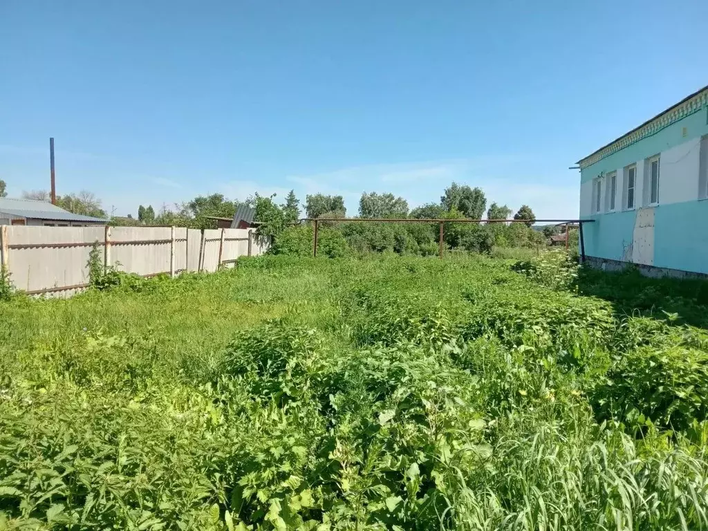 Участок в Саратовская область, Петровск Красноармейская ул. (8.0 сот.) - Фото 1
