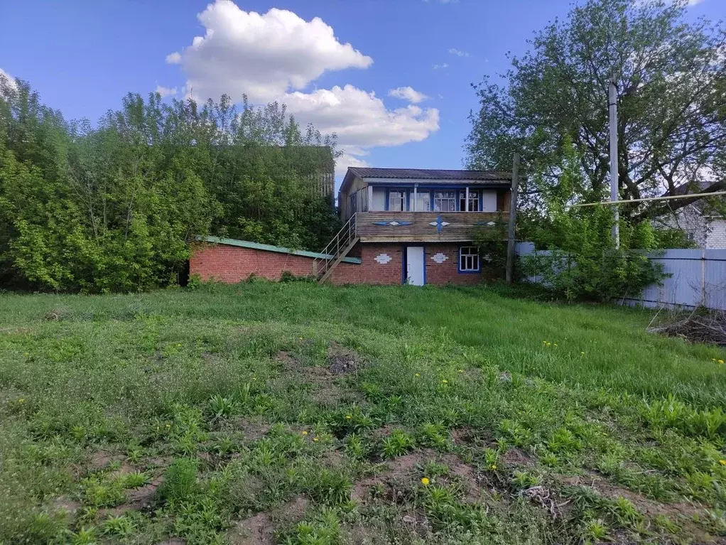 Дом в Татарстан, Нижнекамский район, Каенлинское с/пос, с. Борок  (30 ... - Фото 1