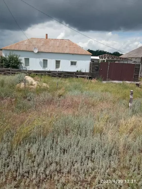 Дом в Воронежская область, Бобровский район, Никольское с/пос, Хренище ... - Фото 1