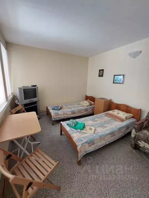 Комната Крым, Сакский район, Молочненское с/пос, с. Витино ул. ... - Фото 0