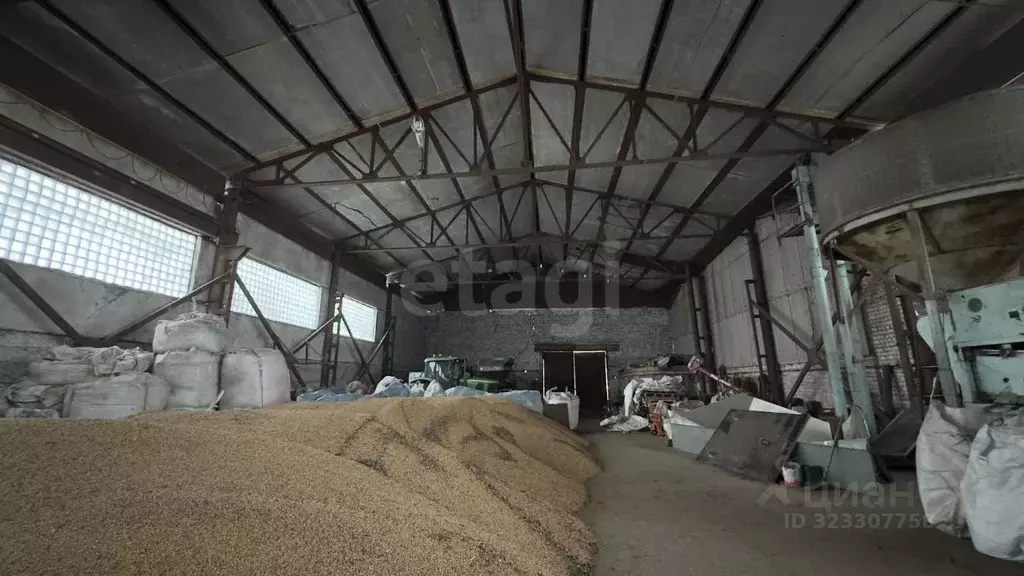 Склад в Воронежская область, Хохольское городское поселение, с. Хохол ... - Фото 2