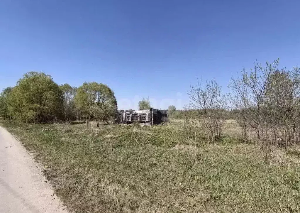 Участок в Брянская область, Брянский район, с. Журиничи  (20.0 сот.) - Фото 2