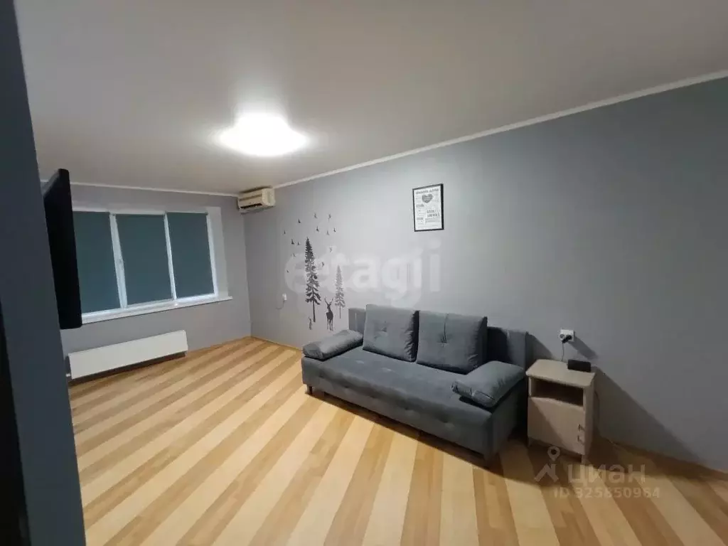 Студия Краснодарский край, Краснодар 1 Мая ул., 97 (37.0 м) - Фото 1