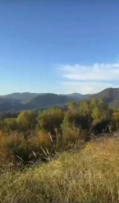 Участок в Краснодарский край, Сочи городской округ, с. Сергей-Поле ул. ... - Фото 0