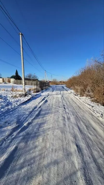 Участок в Тюменская область, Тюменский район, Винзили рп Тюлькинская ... - Фото 1