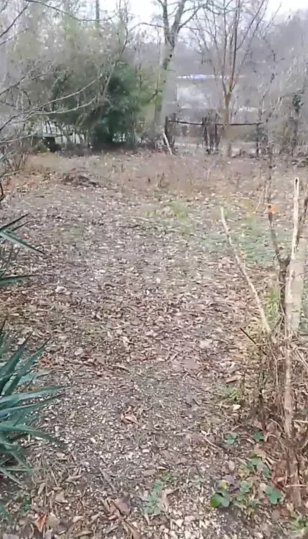 Участок в Краснодарский край, Геленджик городской округ, Строитель СТ  ... - Фото 1