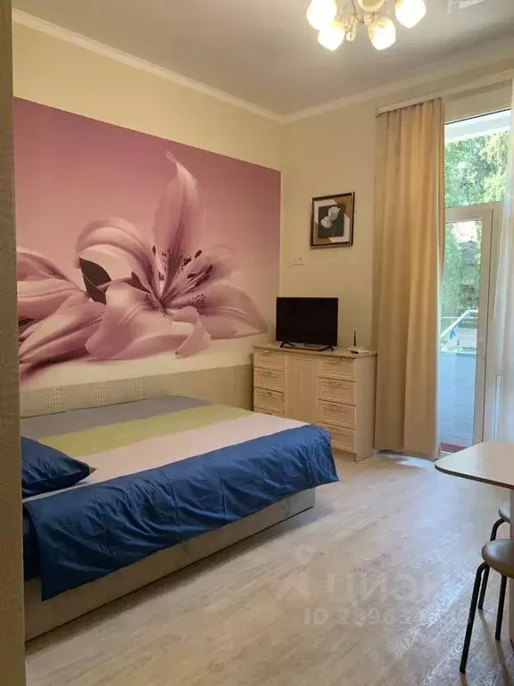 1-к кв. Крым, Ялта ул. Чехова, 24 (28.0 м) - Фото 2