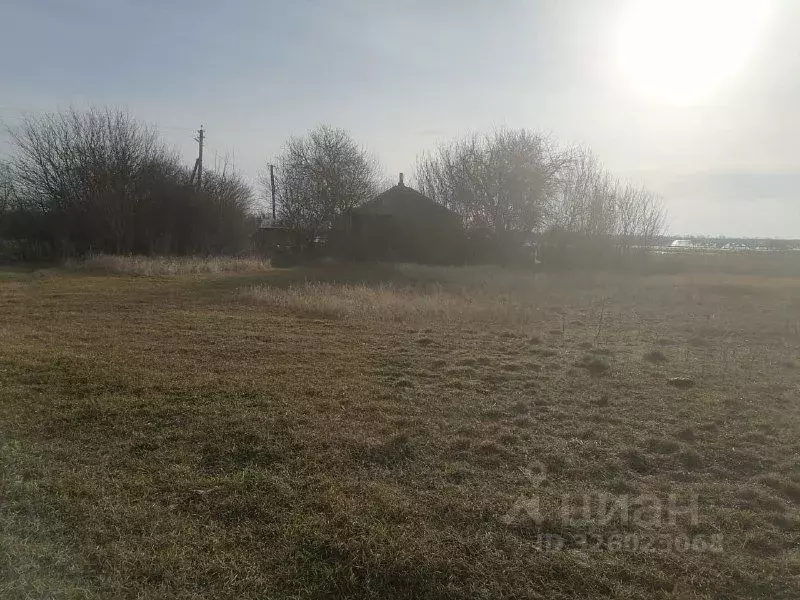 Участок в Ростовская область, Багаевский район, Красненское с/пос, ... - Фото 1