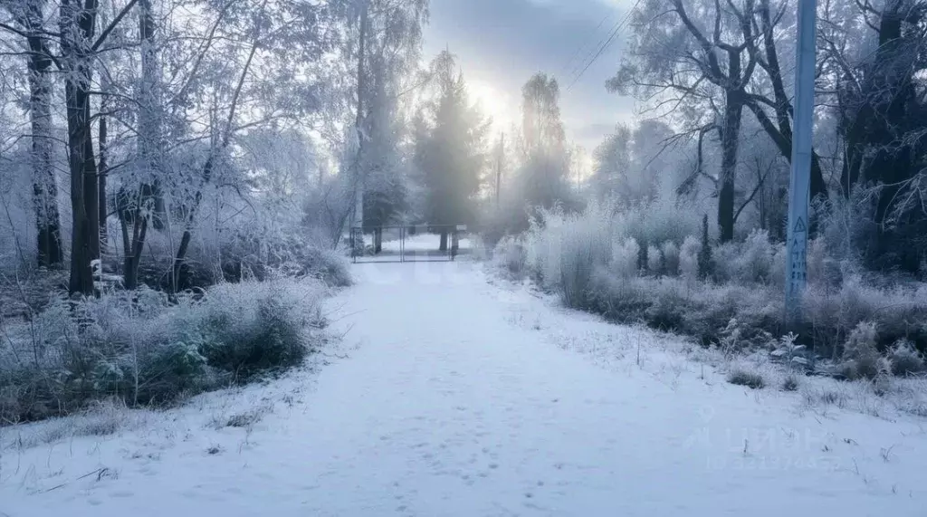 Дом в Псковская область, Островская волость, д. Городище ул. ... - Фото 2