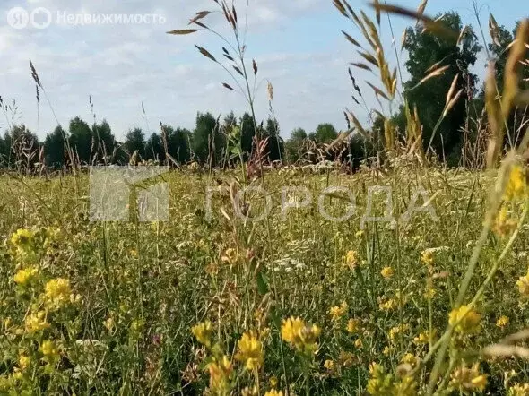 Участок в Толмачёвский сельсовет (43.9 м) - Фото 1