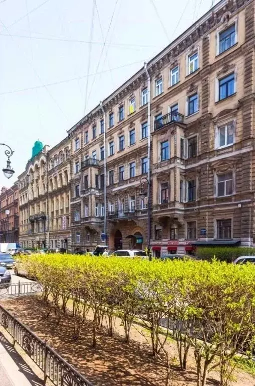 1-к кв. Санкт-Петербург Пушкинская ул., 8 (12.0 м) - Фото 1