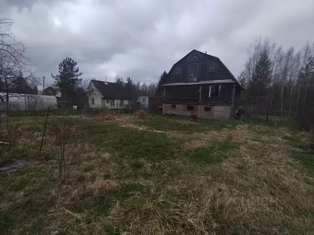 Участок в Ленинградская область, Тосненский район, Форносовское ... - Фото 1