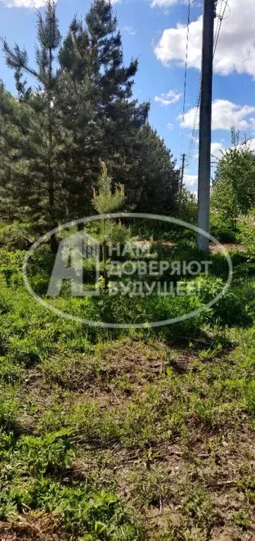 Участок в Пермский край, Чайковский городской округ, д. Дубовая ул. ... - Фото 1