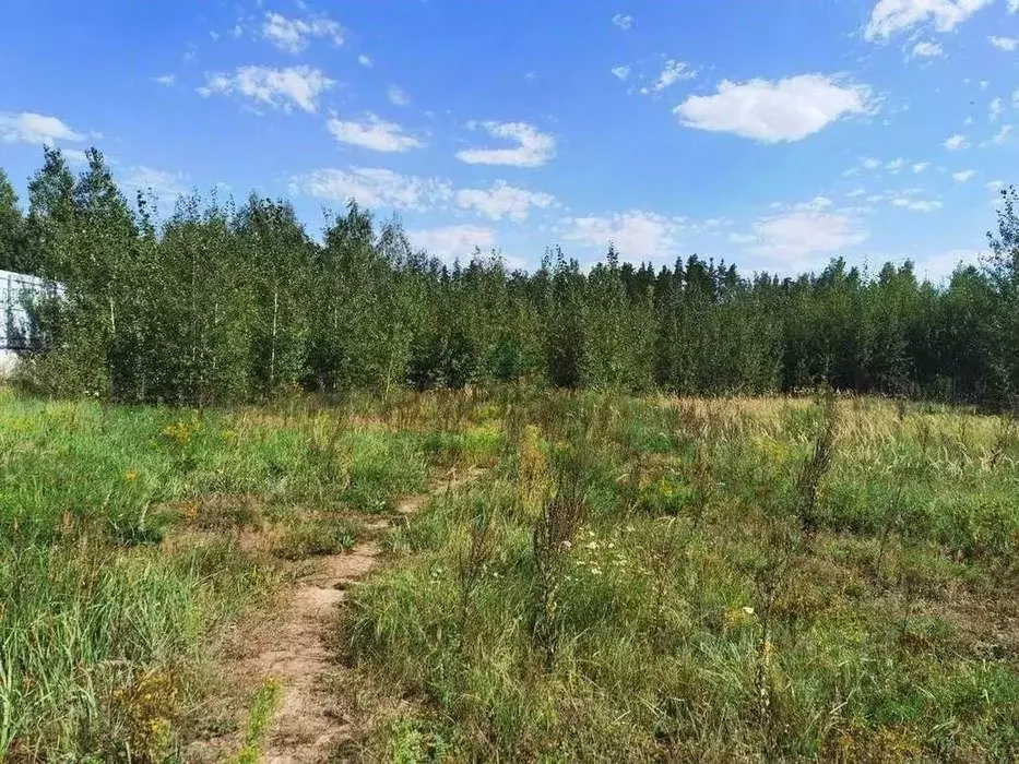Участок в Воронежская область, Рамонский район, Яменское с/пос, д. ... - Фото 2