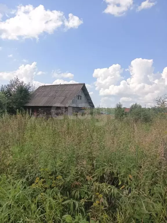 Участок в Пермский край, Пермский муниципальный округ, д. Гамы ул. ... - Фото 2