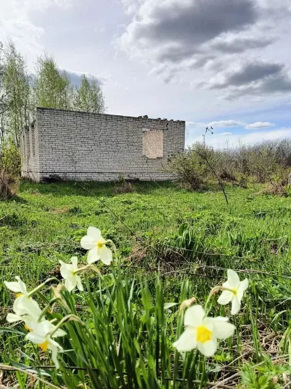 Участок в Владимирская область, Камешковский район, Второвское ... - Фото 0