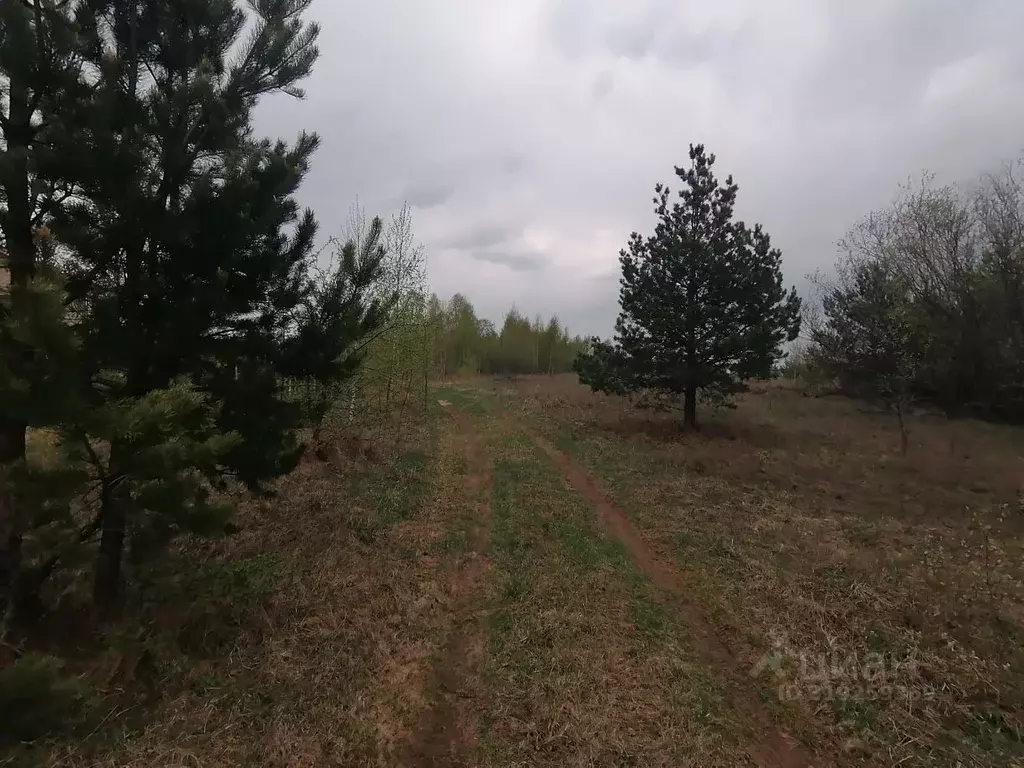 Участок в Нижегородская область, Выкса городской округ, с. Борковка  ... - Фото 0