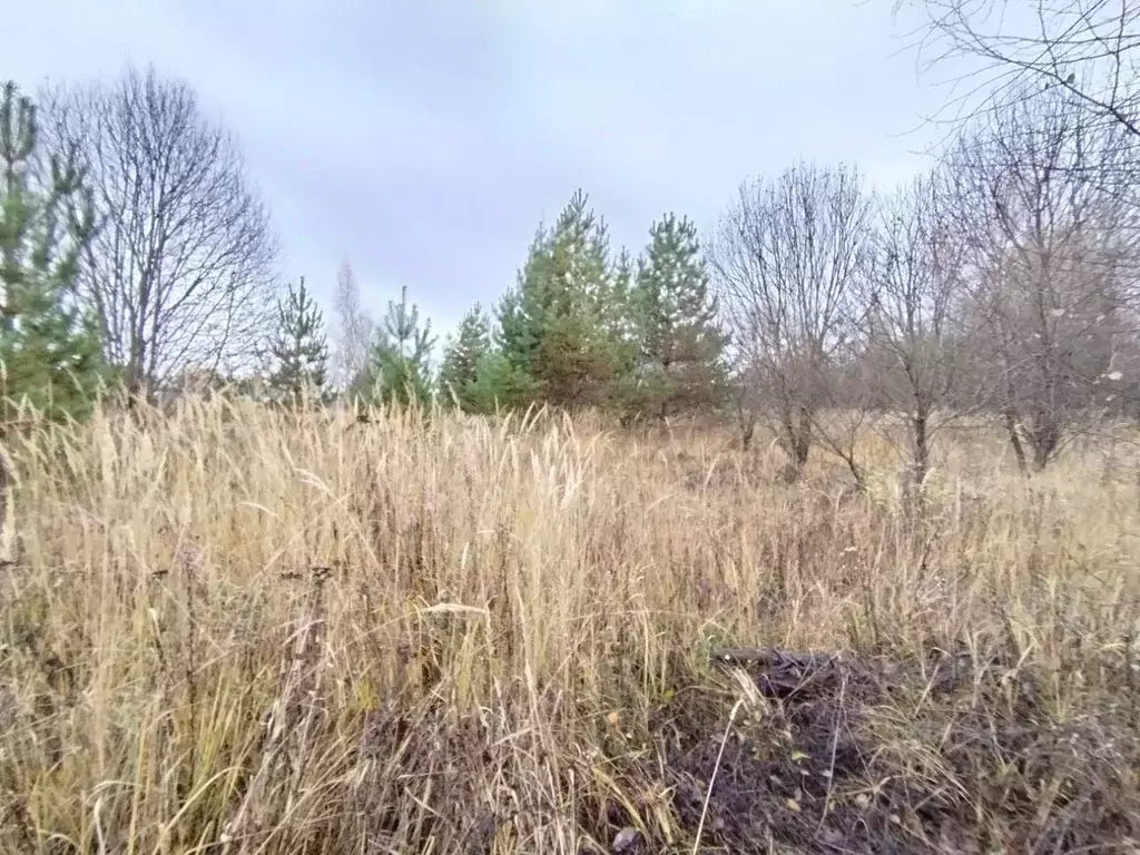 Участок в Нижегородская область, Нижний Новгород городской округ, д. ... - Фото 2