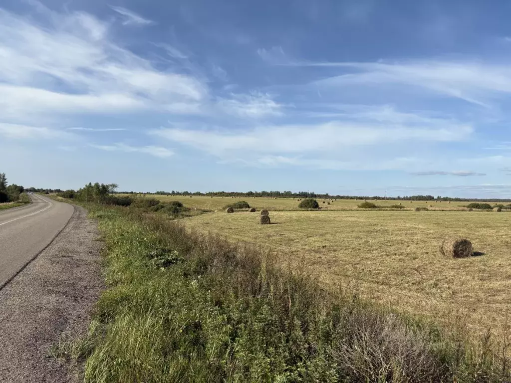 Участок в Смоленская область, Гагаринский муниципальный округ, д. ... - Фото 2