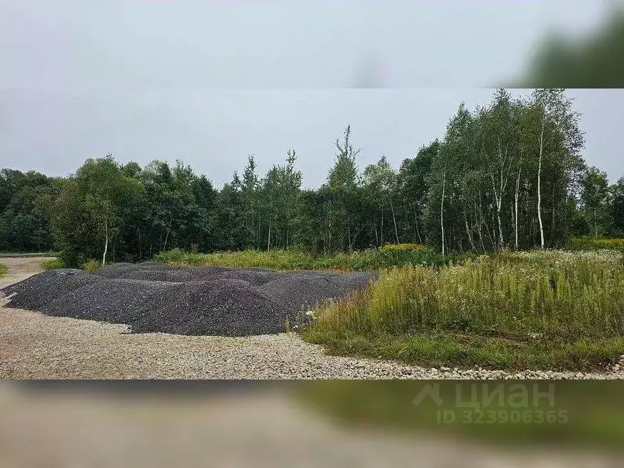 Участок в Московская область, Ступино городской округ, д. Игнатьево  ... - Фото 2