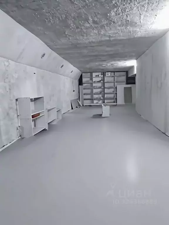 Помещение свободного назначения в Курганская область, Курган ул. Коли ... - Фото 1