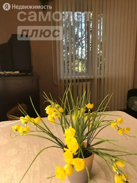 2-комнатная квартира: Михайловск, улица сниисх, 7 (39.2 м) - Фото 1