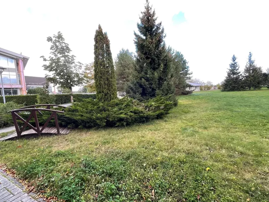 Участок в Московская область, Истра муниципальный округ, д. Чесноково, ... - Фото 1