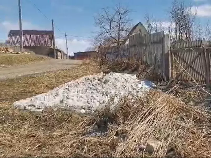 Участок в Новосибирская область, Новосибирский район, Станционный ... - Фото 1