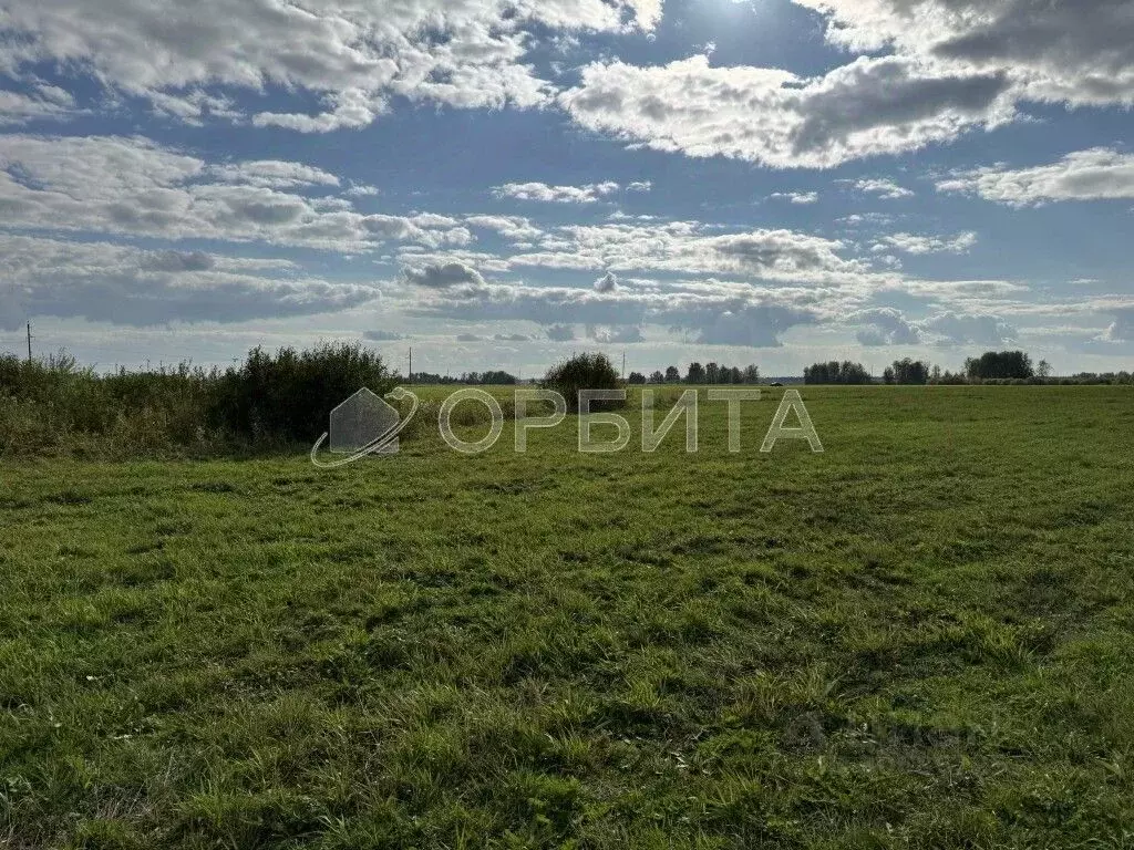 участок в тюменская область, тюменский район, д. елань (8.17 сот.) - Фото 1