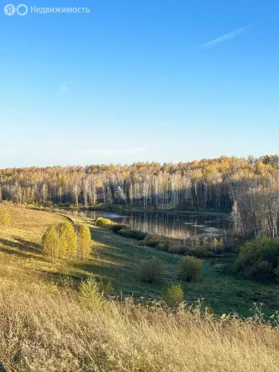 Участок в Искитимский район, Совхозный сельсовет, село Лебедёвка ... - Фото 0