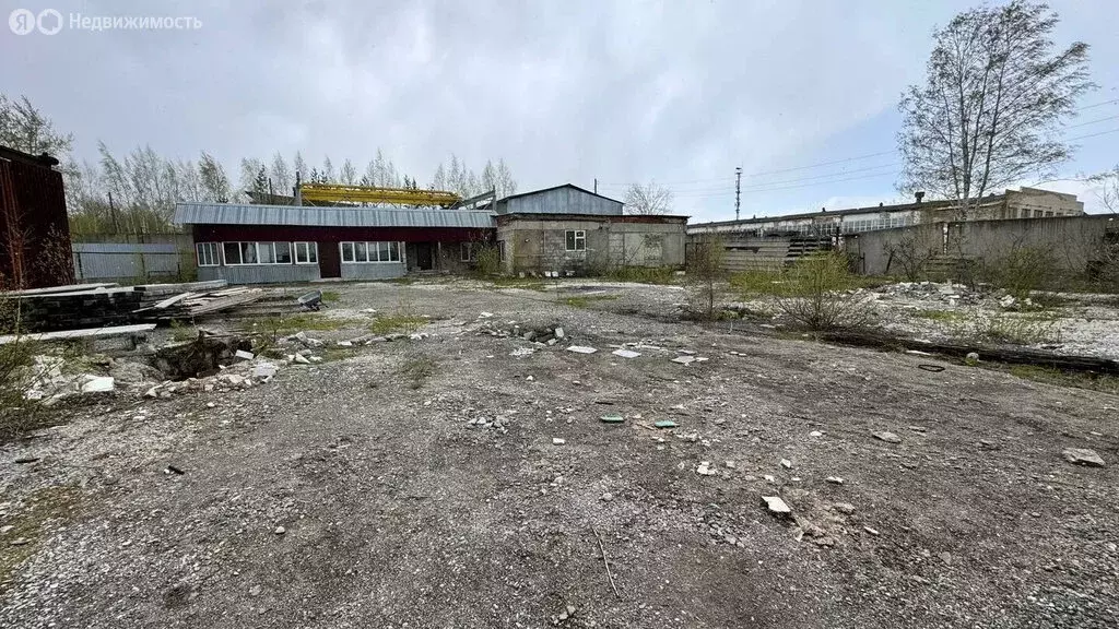 Помещение свободного назначения (257.8 м) - Фото 1