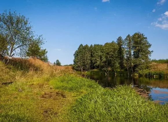 Участок в Владимирская область, Камешковский район, Второвское ... - Фото 0