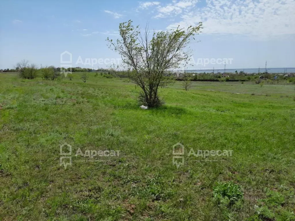 Участок в Волгоградская область, Волгоград ул. Ракитная (6.82 сот.) - Фото 0