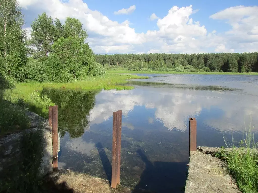 Участок в Свердловская область, Верхняя Пышма городской округ, с. ... - Фото 1