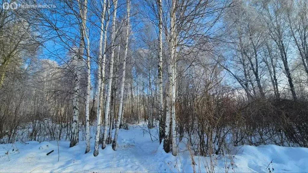 Участок в Тюменская область, Нижнетавдинский муниципальный округ, СТ ... - Фото 2