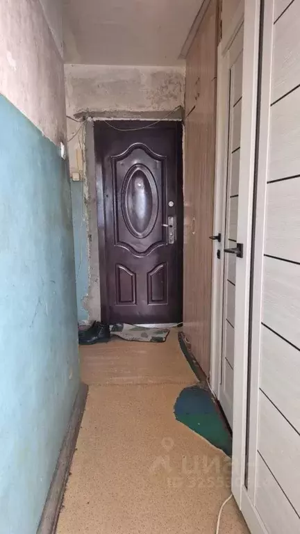 3-к кв. Алтайский край, Барнаул ул. Юрина, 245 (55.7 м) - Фото 2