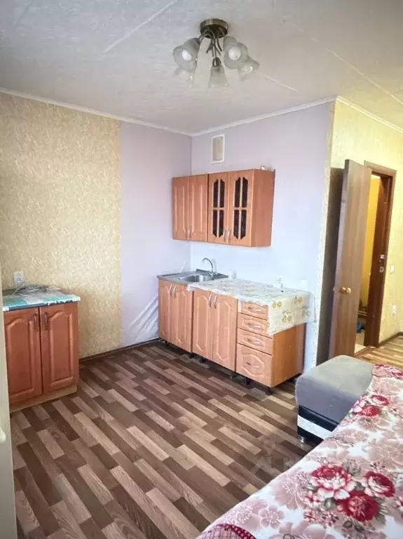 Студия Новосибирская область, Искитим Южный мкр, Ясный жилмассив, 20 ... - Фото 2