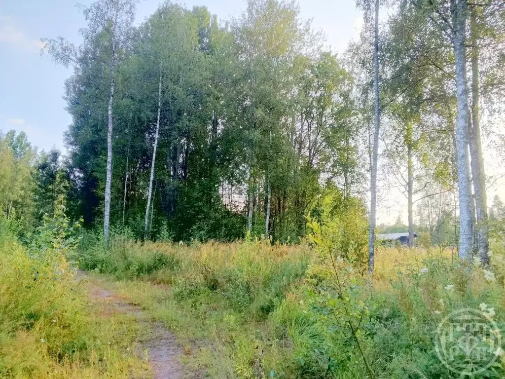 Участок в Ленинградская область, Выборгский район, Красносельское ... - Фото 1