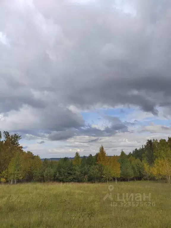 Участок в Красноярский край, Емельяновский муниципальный округ, Сухая ... - Фото 1