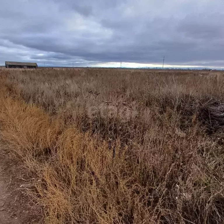 Участок в Оренбургская область, Сакмарский район, с. Беловка ул. ... - Фото 2