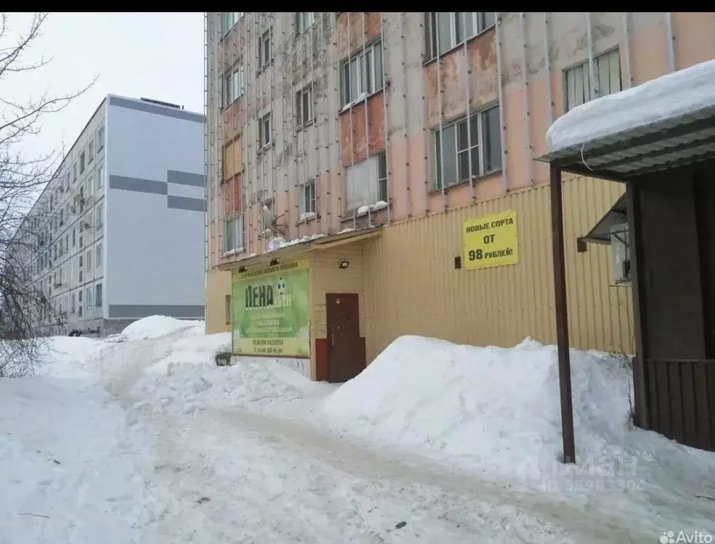 Помещение свободного назначения в Мурманская область, Гаджиево  (85 м) - Фото 0