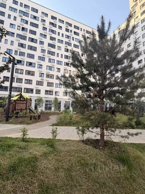 Студия Москва ул. Братьев Гранат, 8 (19.4 м) - Фото 1
