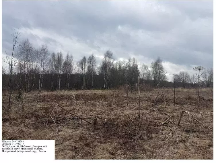 Участок в Московская область, Дмитровский городской округ, д. Шабаново ... - Фото 0